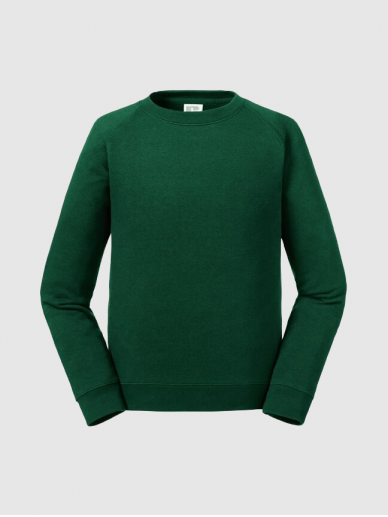 Žalias džemperis be gobtuvo
